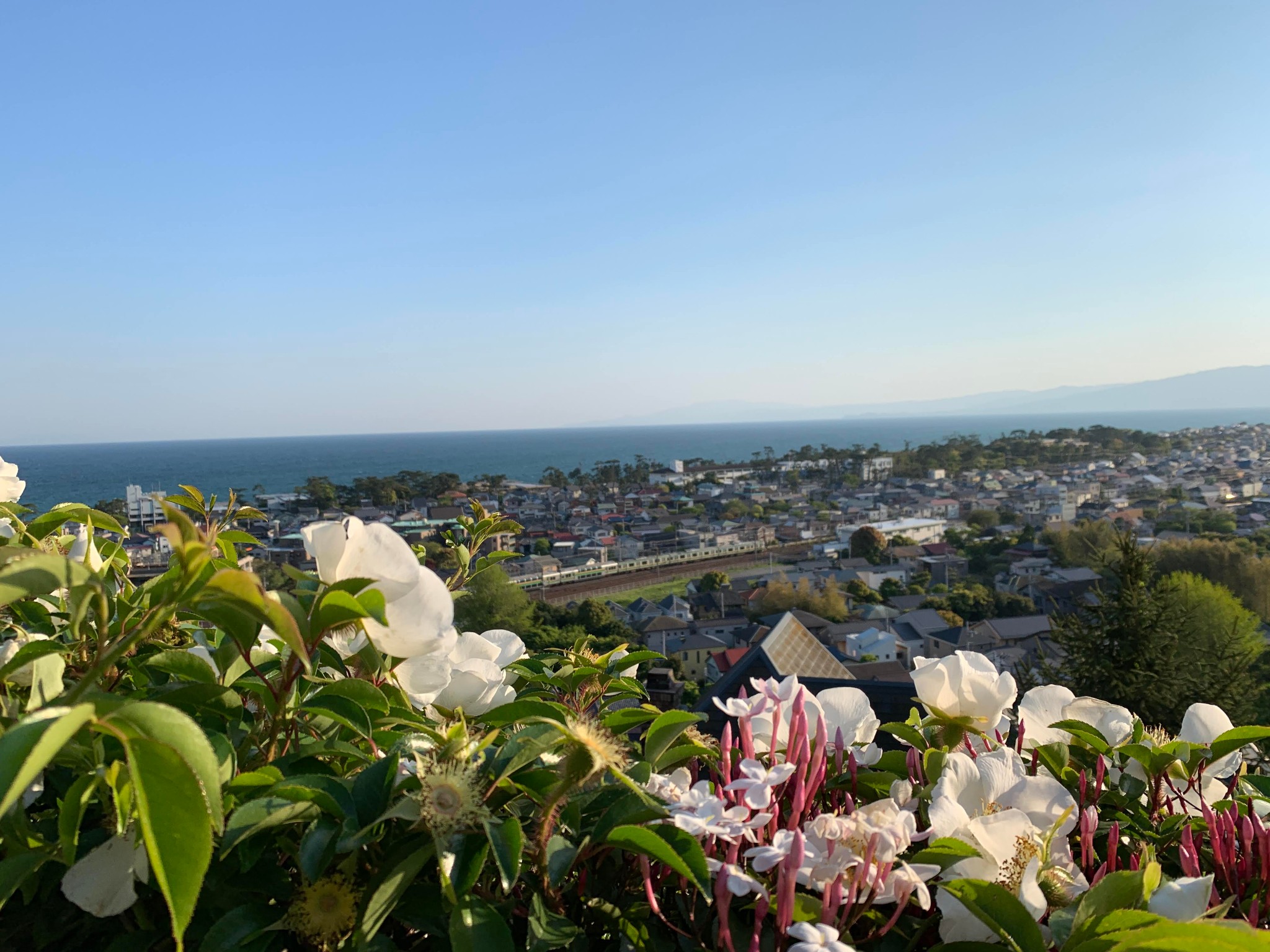 日本神奈川的湘南平,一個同時看見太平洋,富士山,伊豆半島,關東平原的