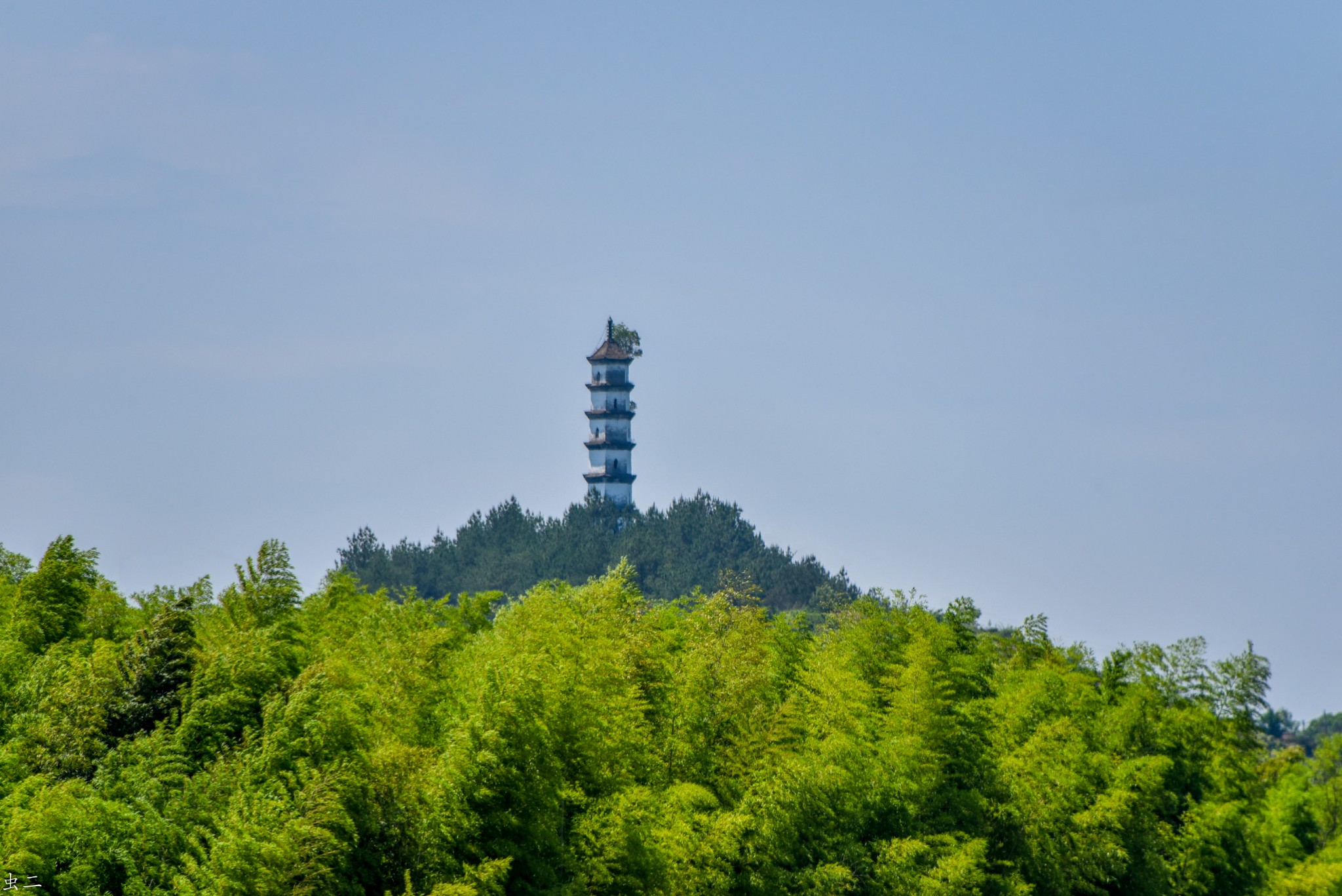 松阳 青云塔 县保 古塔巡礼系列之444 青蒙塔
