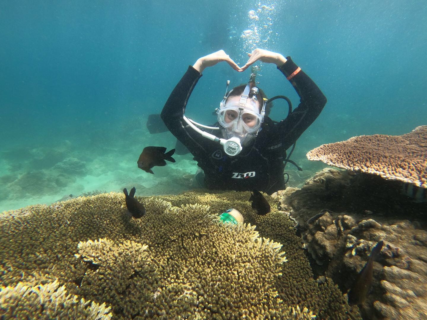 石梅湾加井岛潜水
