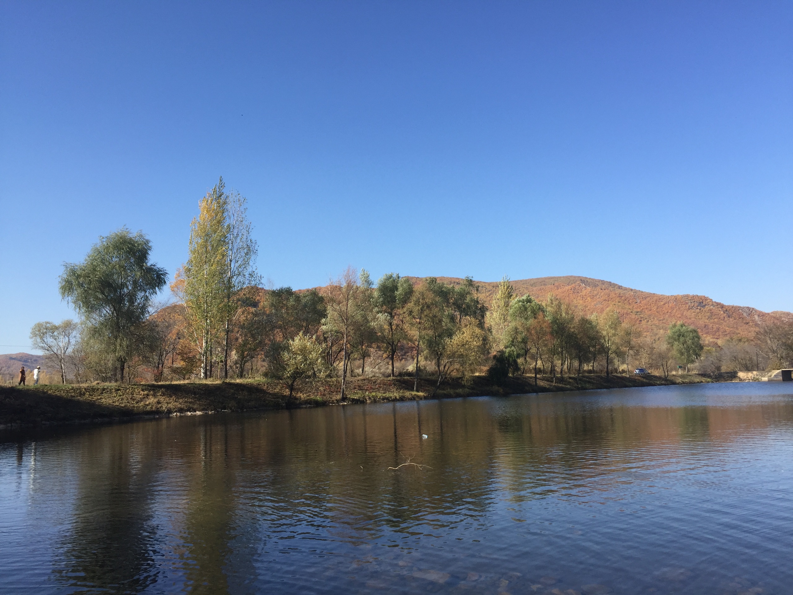 林口旅遊圖片,林口自助遊圖片,林口旅遊景點照片 - 馬蜂窩圖庫 - 馬