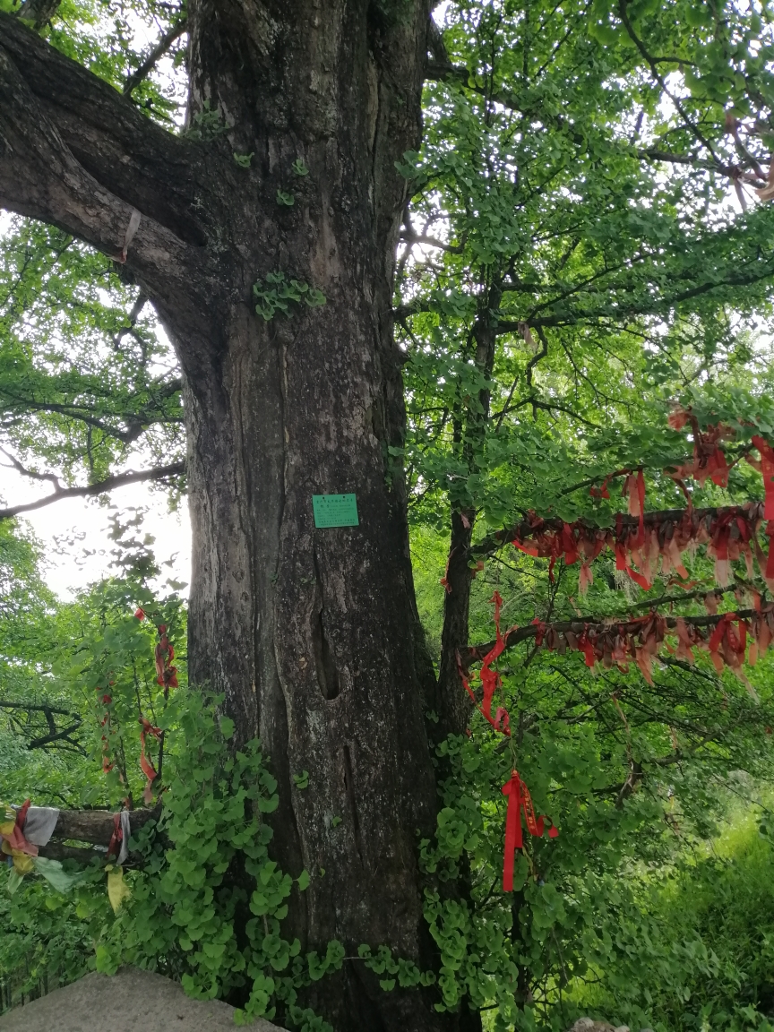 20年劳动节登宜兴太华山