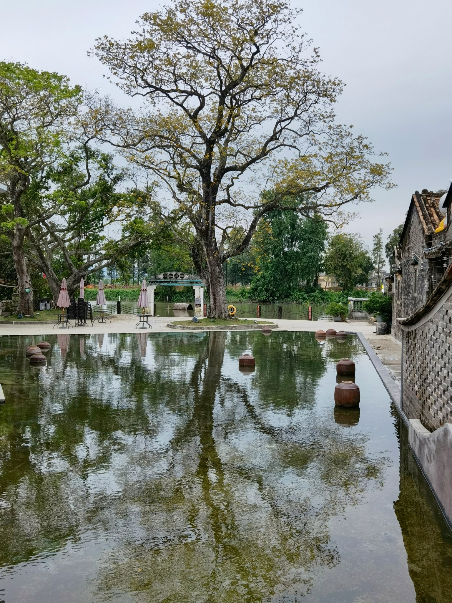 台山网红打卡景点～草坪村
