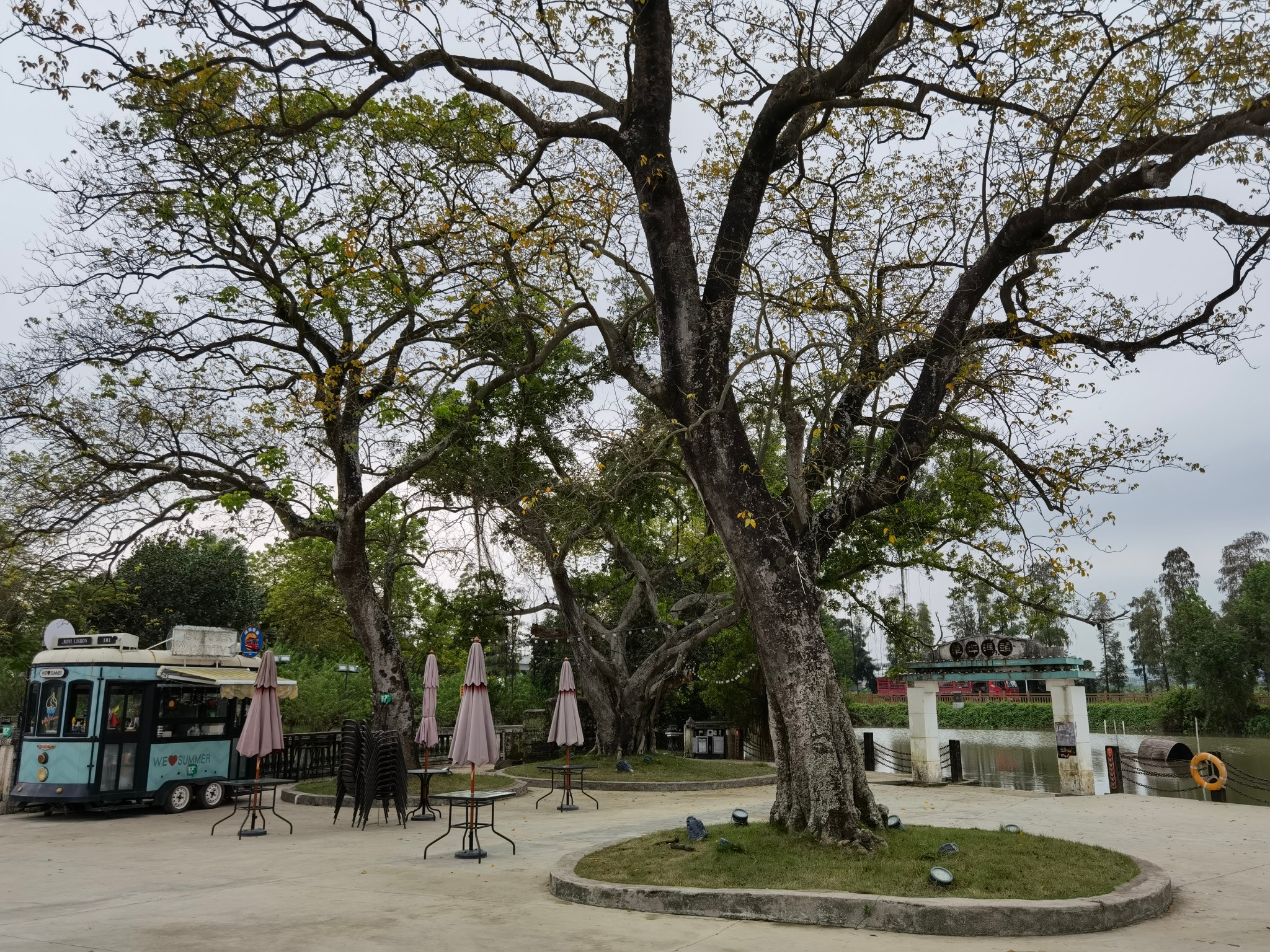 台山网红打卡景点～草坪村