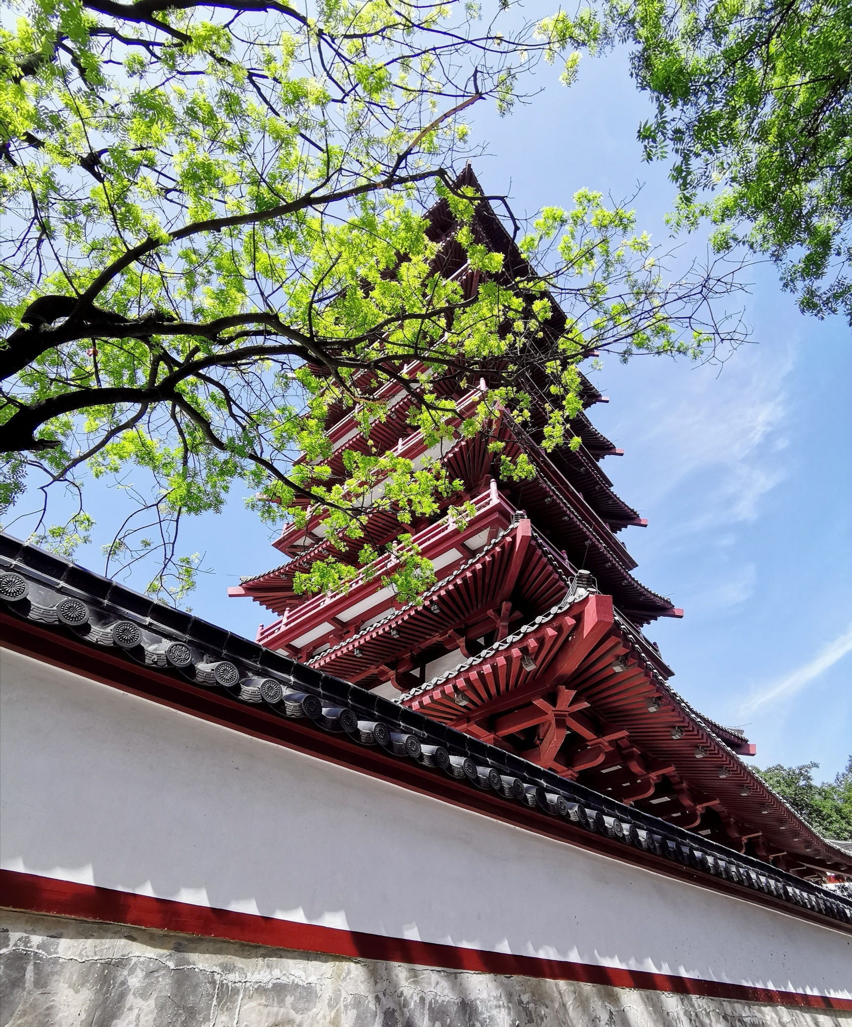 【肥西景点图片】紫蓬山国家森林公园