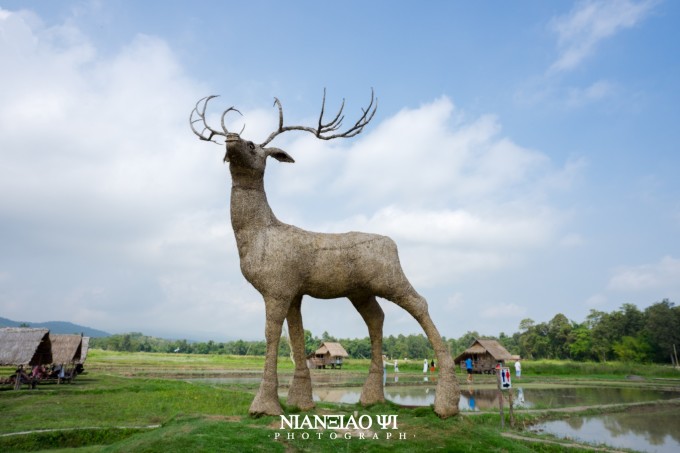 「泰北记忆」文艺.小清新.水灯节.想念我们的清迈 「泰北记忆」文艺.小清新.水灯节.想念我们的清迈