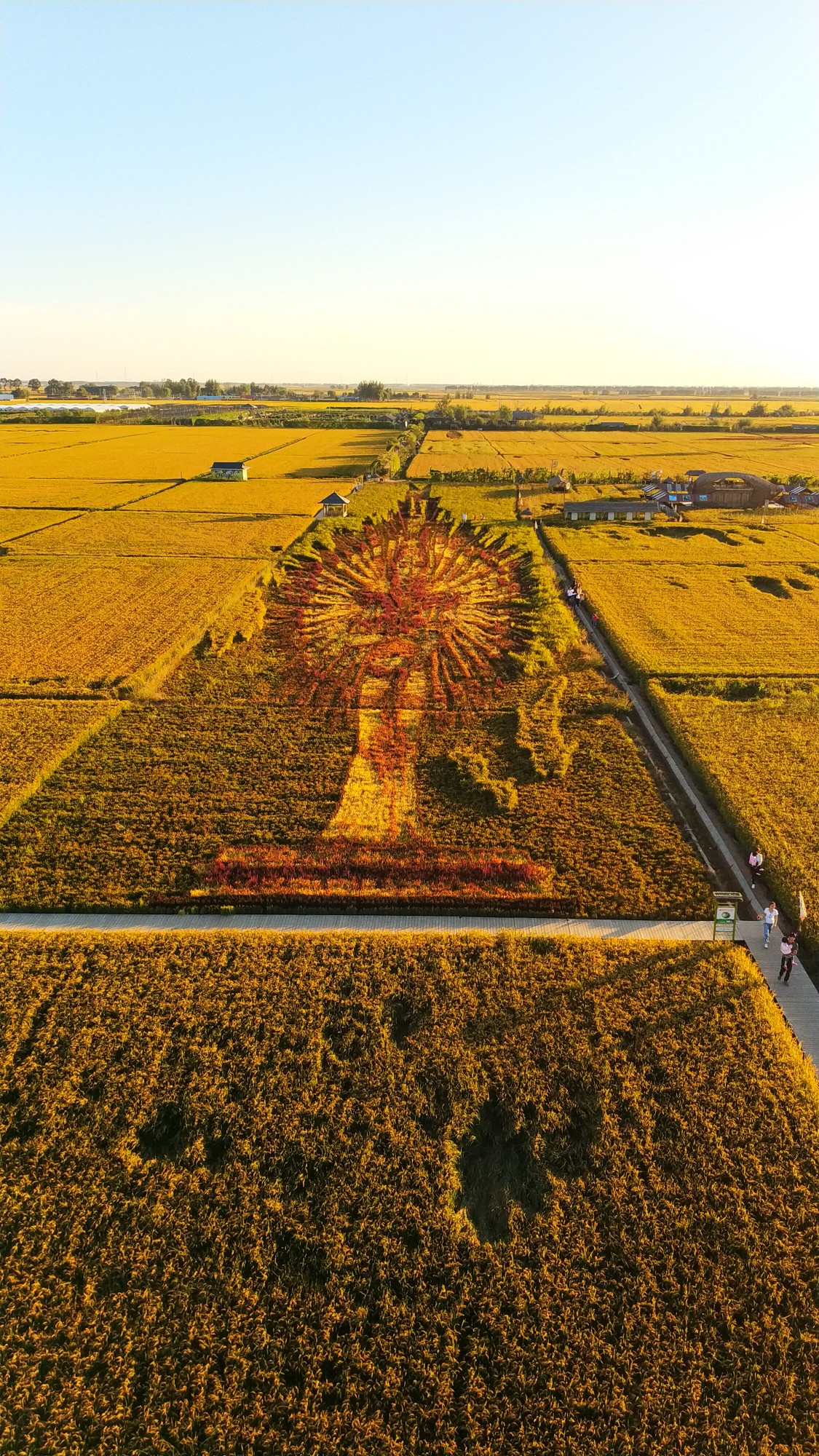 秋天的味道~稻梦空间