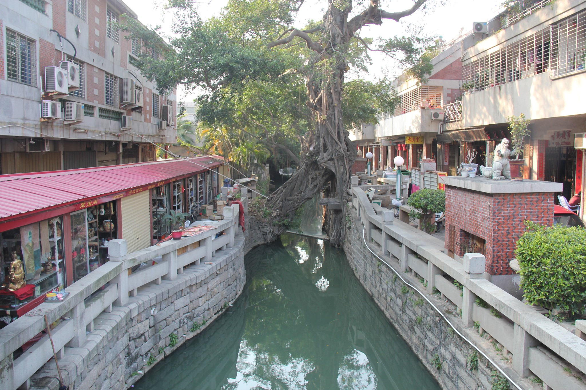 福建10|泉州——古城區及開元寺