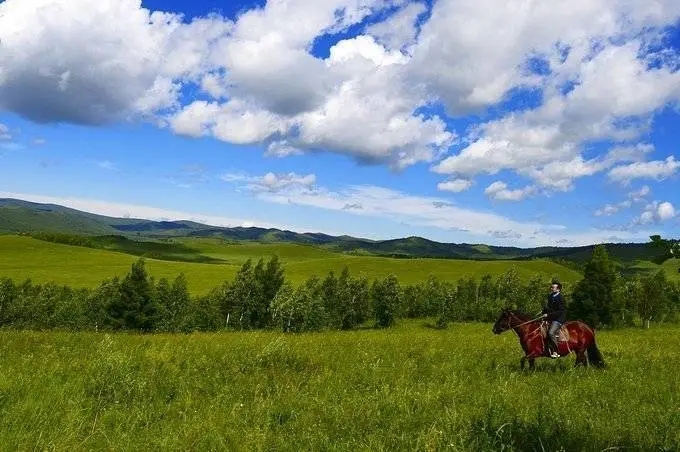 呼倫貝爾大草原呼倫貝爾旅遊攻略篇呼倫貝爾大草原