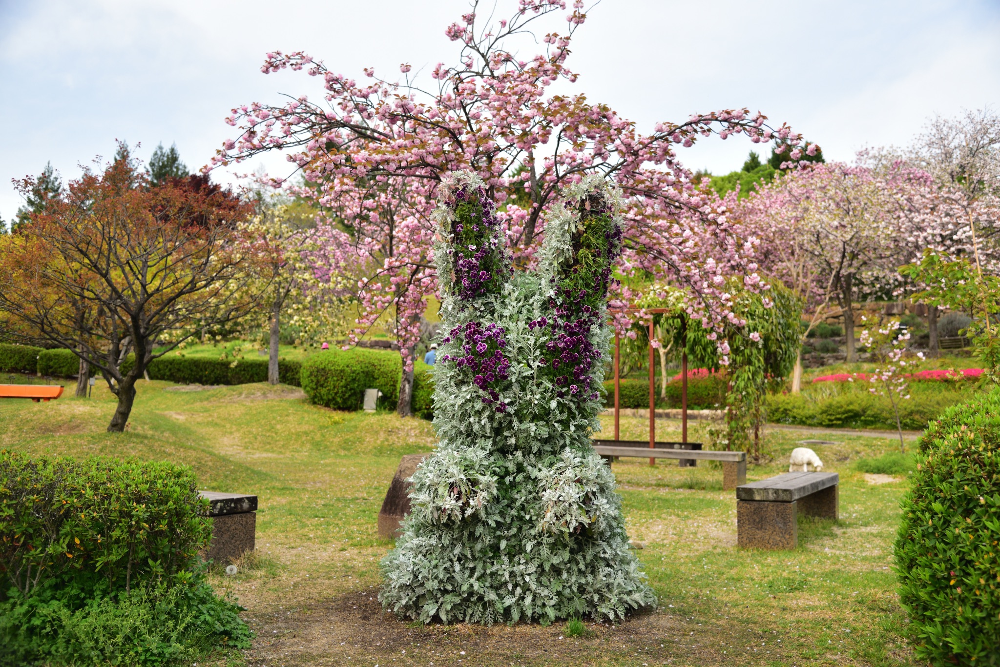 宇治市植物园攻略 宇治市植物园门票 地址 宇治市植物园景点攻略 马蜂窝