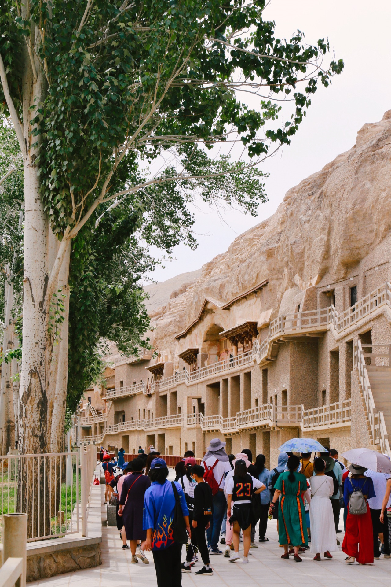遗落在人间的宝藏地 塞外雄关青海湖 敦煌 莫高窟 七彩丹霞环游记