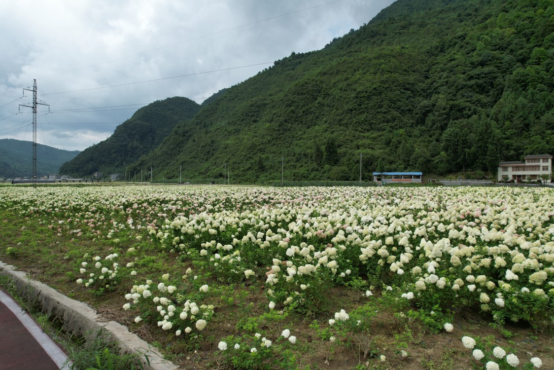 【咸丰景点图片】马倌屯村