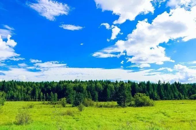 行摄呼伦贝尔大草原呼伦贝尔大草原呼伦贝尔大草原