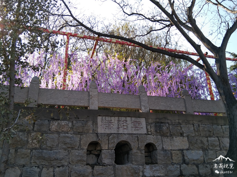 東平臘山國家森林公園