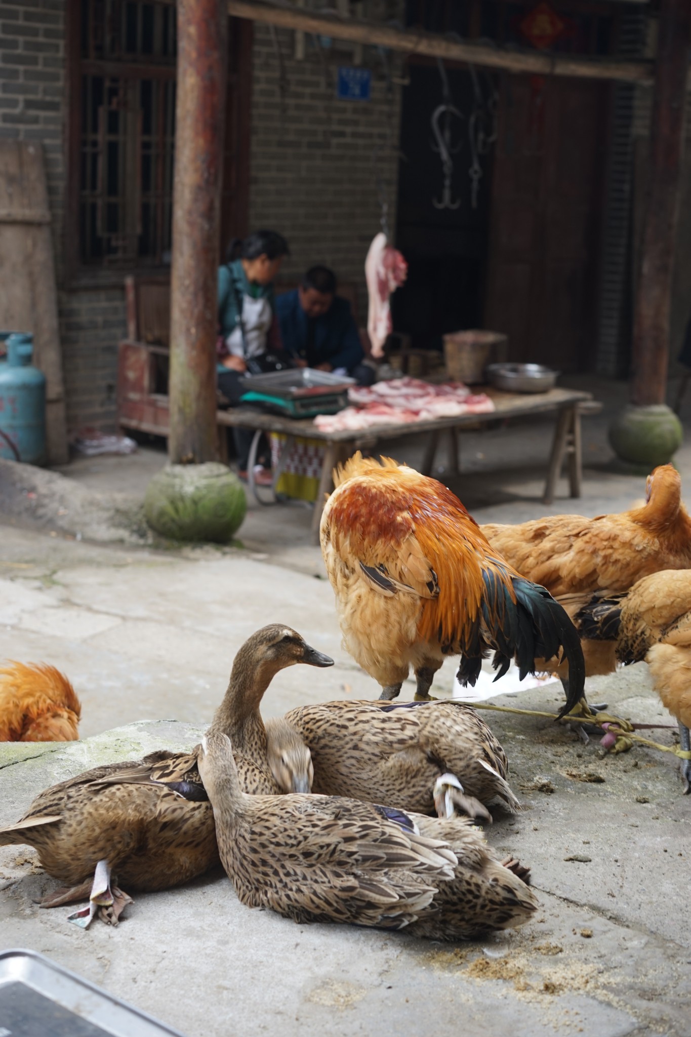 遥远的小山村——綦江高庙村