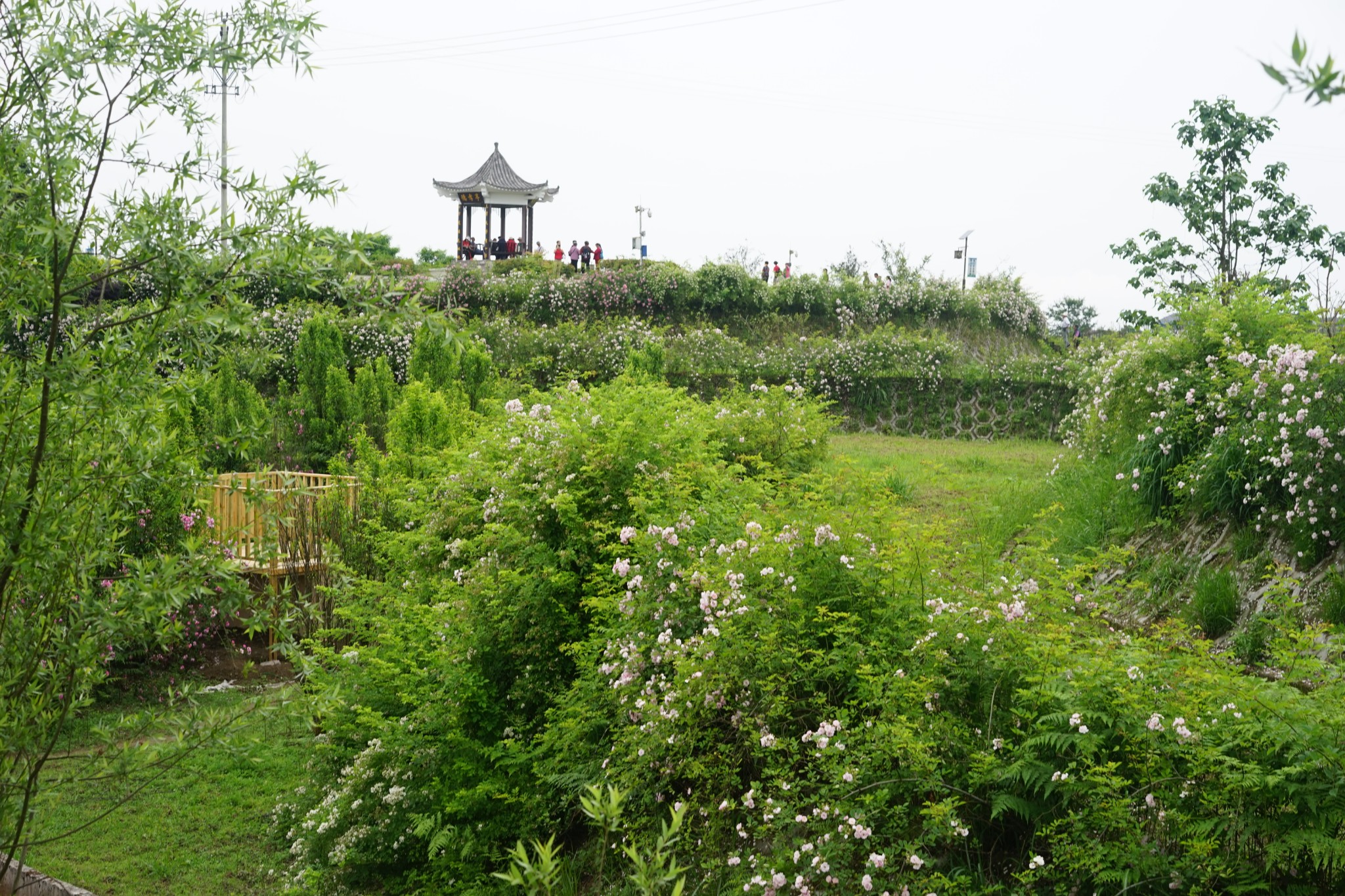 遥远的小山村——綦江高庙村