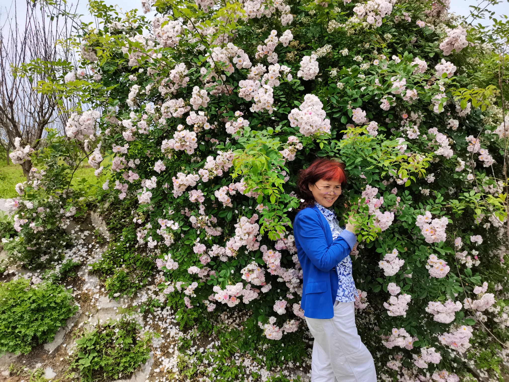 遥远的小山村——綦江高庙村