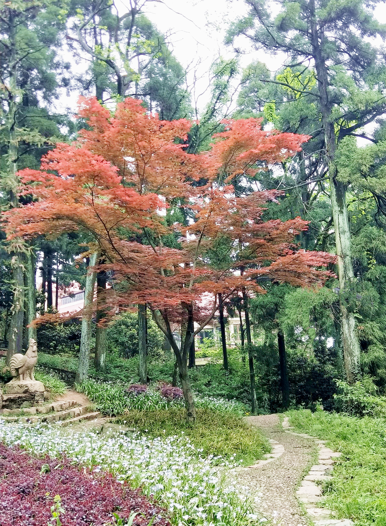 春遊莫干山蘆花蕩公園