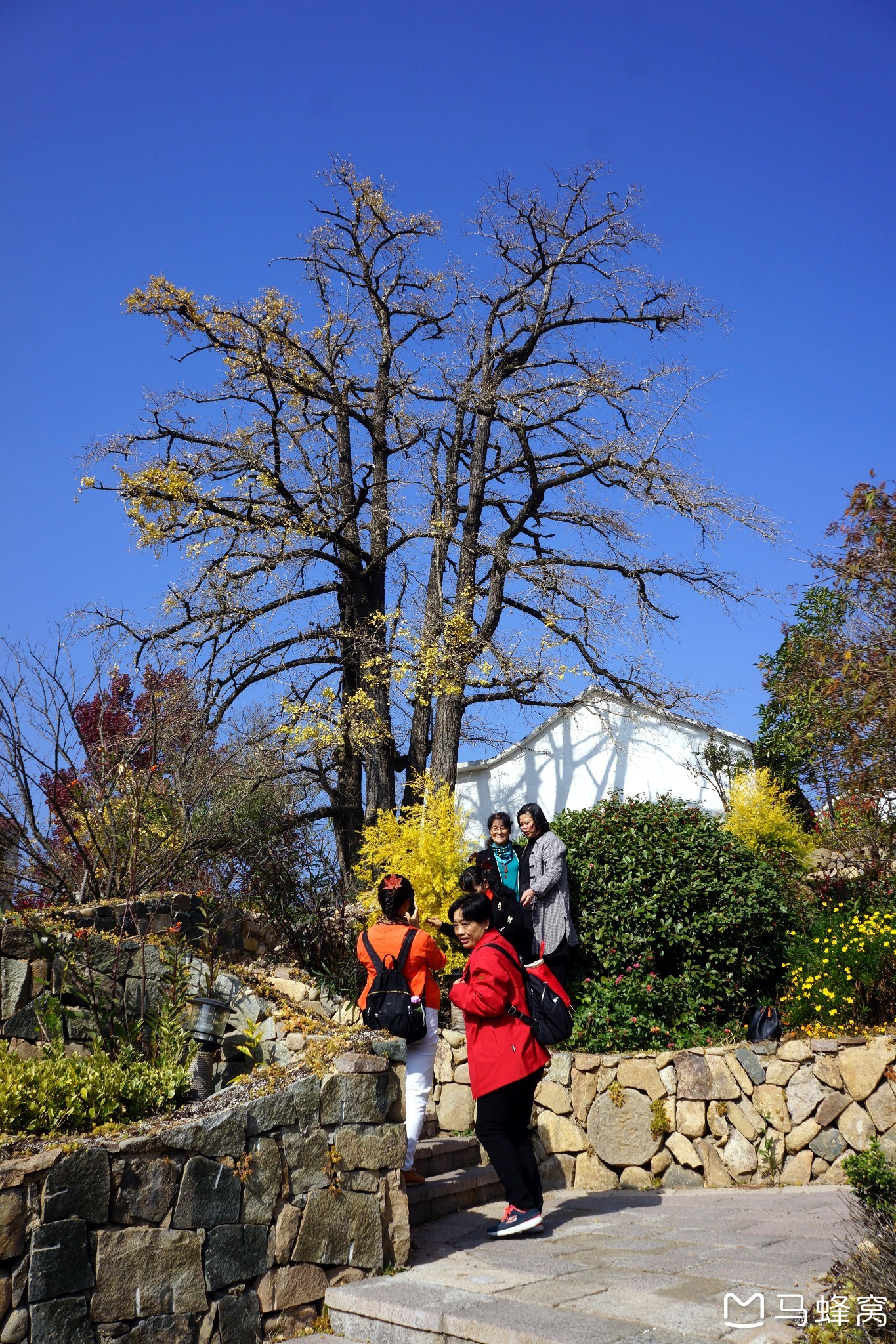 2020秋遊指南村,青山湖