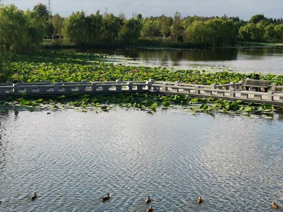 長春西湖北湖溼地公園