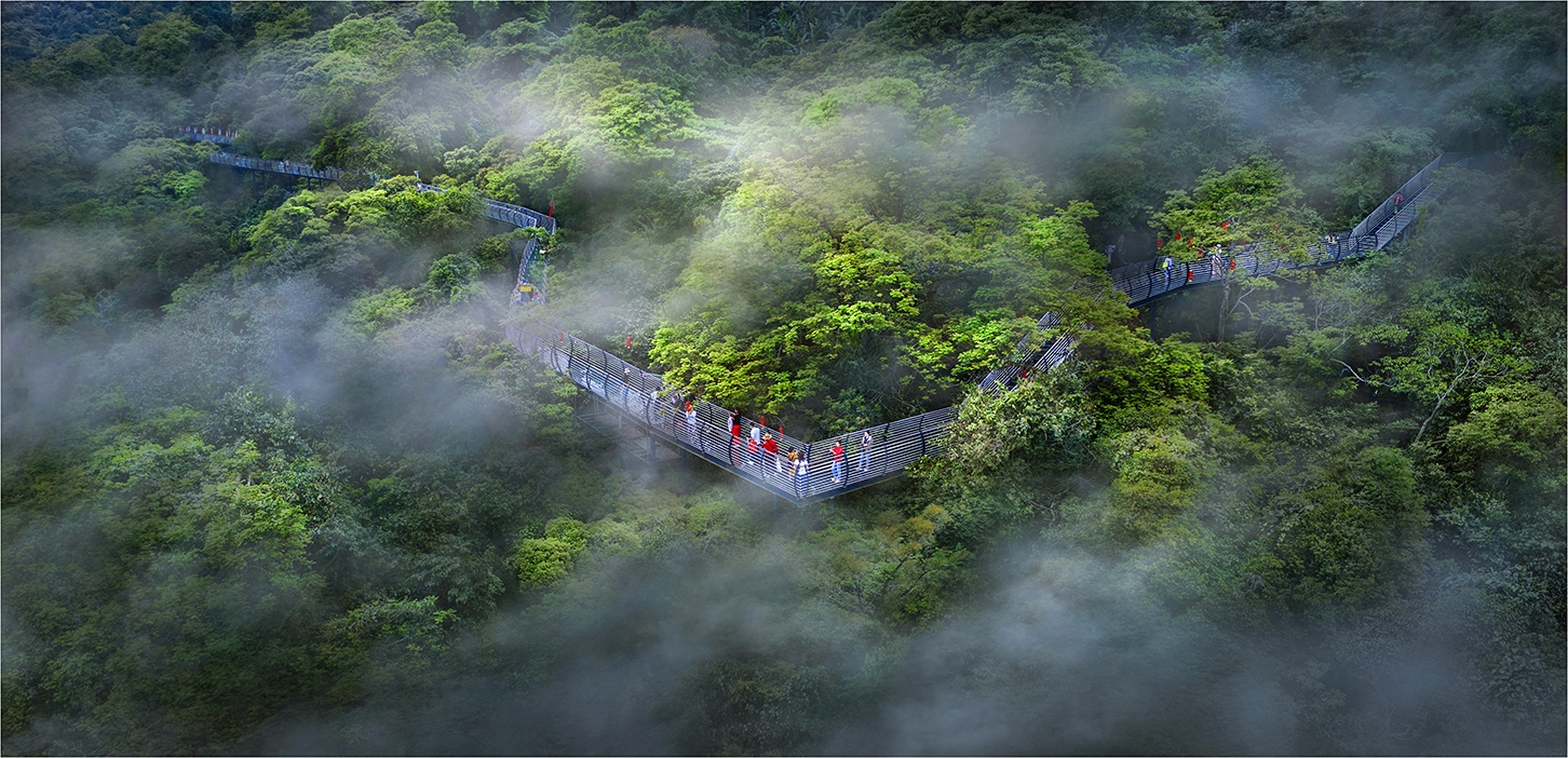 海南琼中百花岭热带雨林文化旅游区_游记