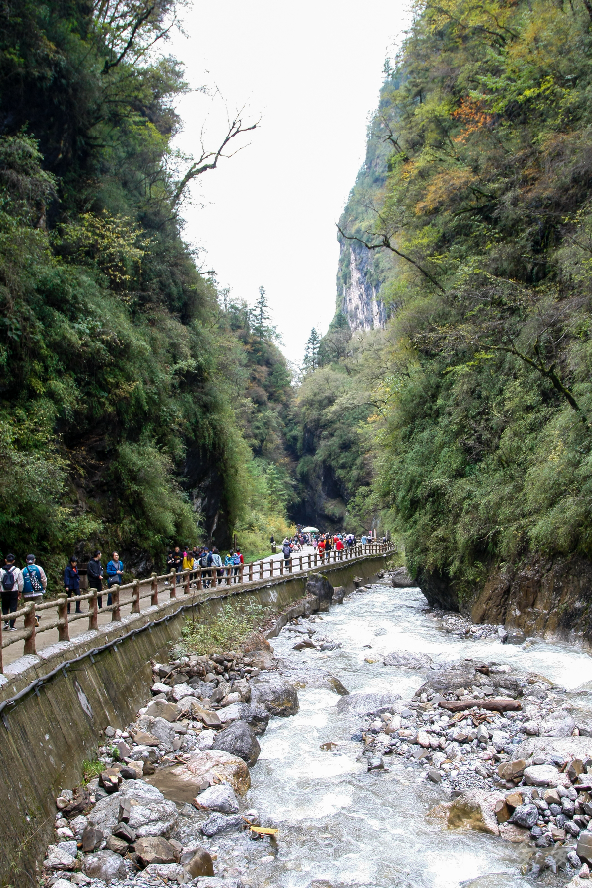 甘南踩秋之二——新寵官鵝溝,宕昌旅遊攻略 - 馬蜂窩