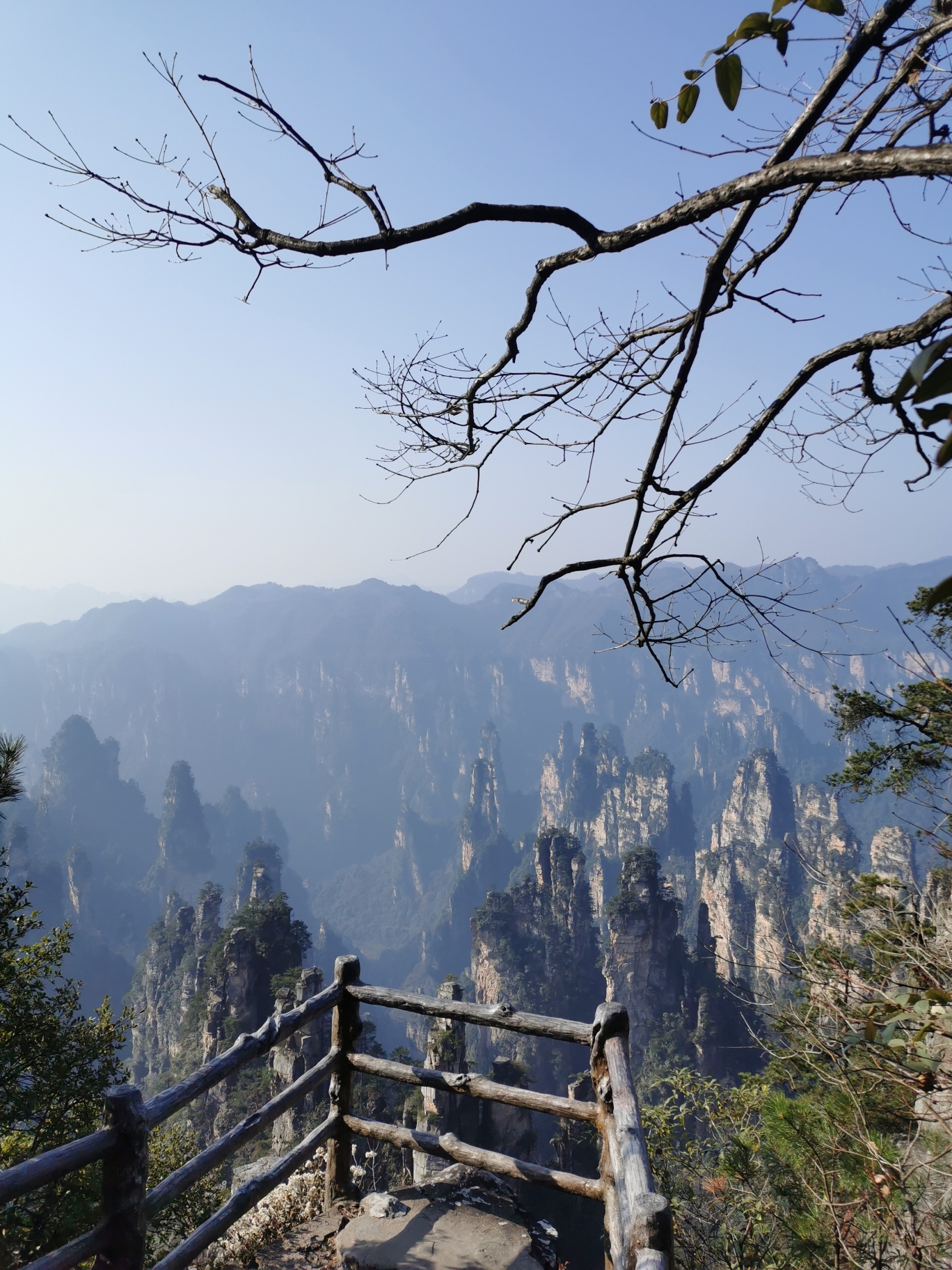 冬遊張家界—武陵源,天子山,被猴子抓了的應對_遊記