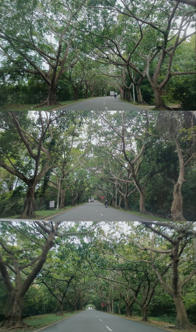 海南/10月底到北纬18度继续过夏天呀 海南/10月底到北纬18度继续过夏天呀