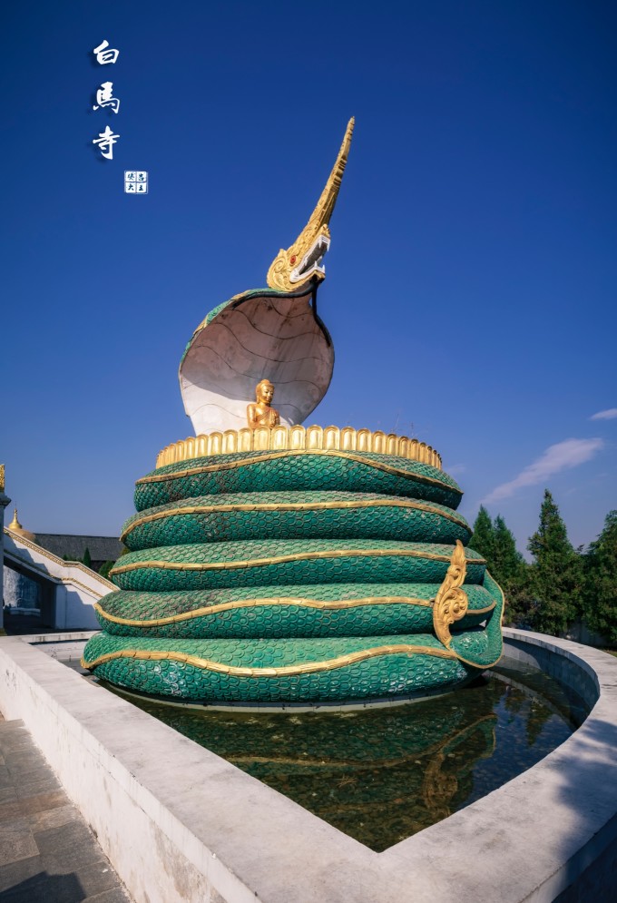 若问古今兴废事,请君只看洛阳城! 若问古今兴废事,请君只看洛阳城!