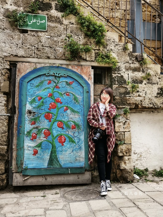 环球旅行系列,以色列及巴勒斯坦 环球旅行系列,以色列及巴勒斯坦