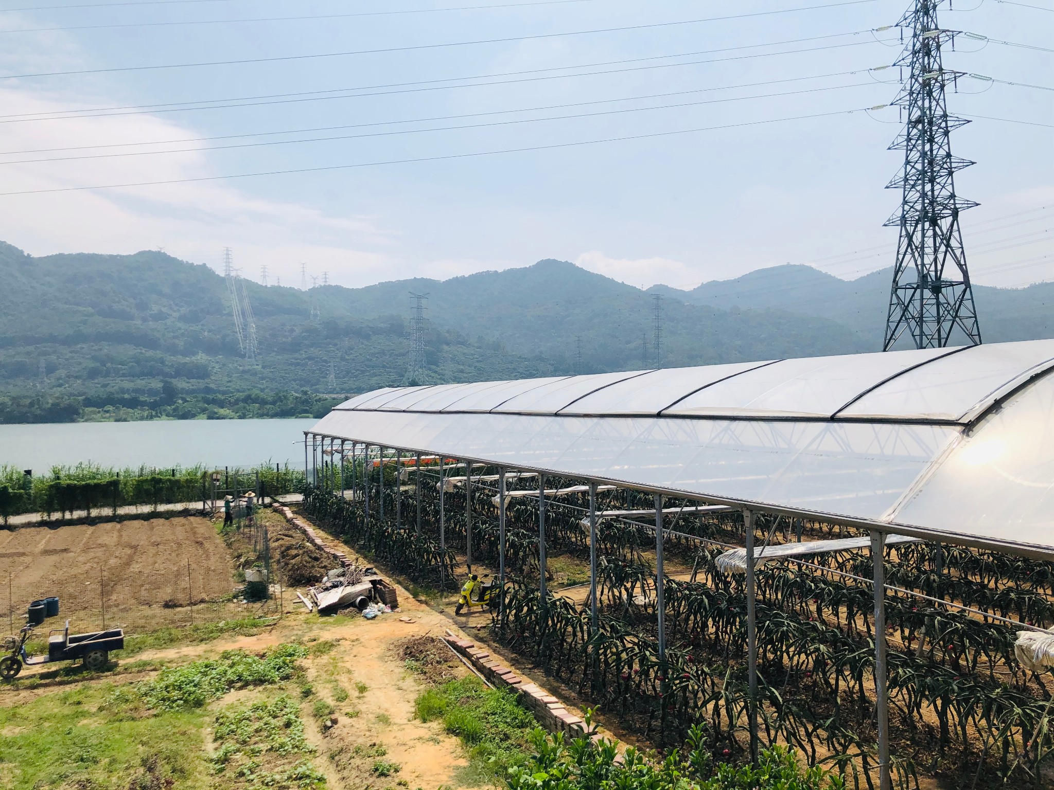 深圳周末放风记深圳凤凰山野炊采摘藏在山水间的农家乐田中园