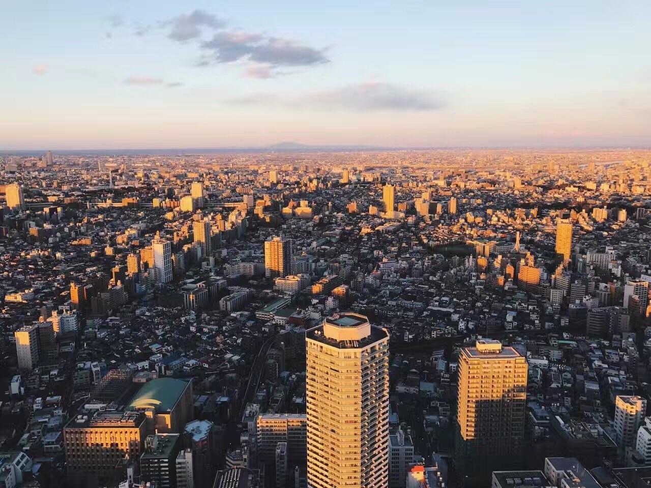 日本大夏天有什么旅游推荐吗 关东区 最好是小众游 马蜂窝