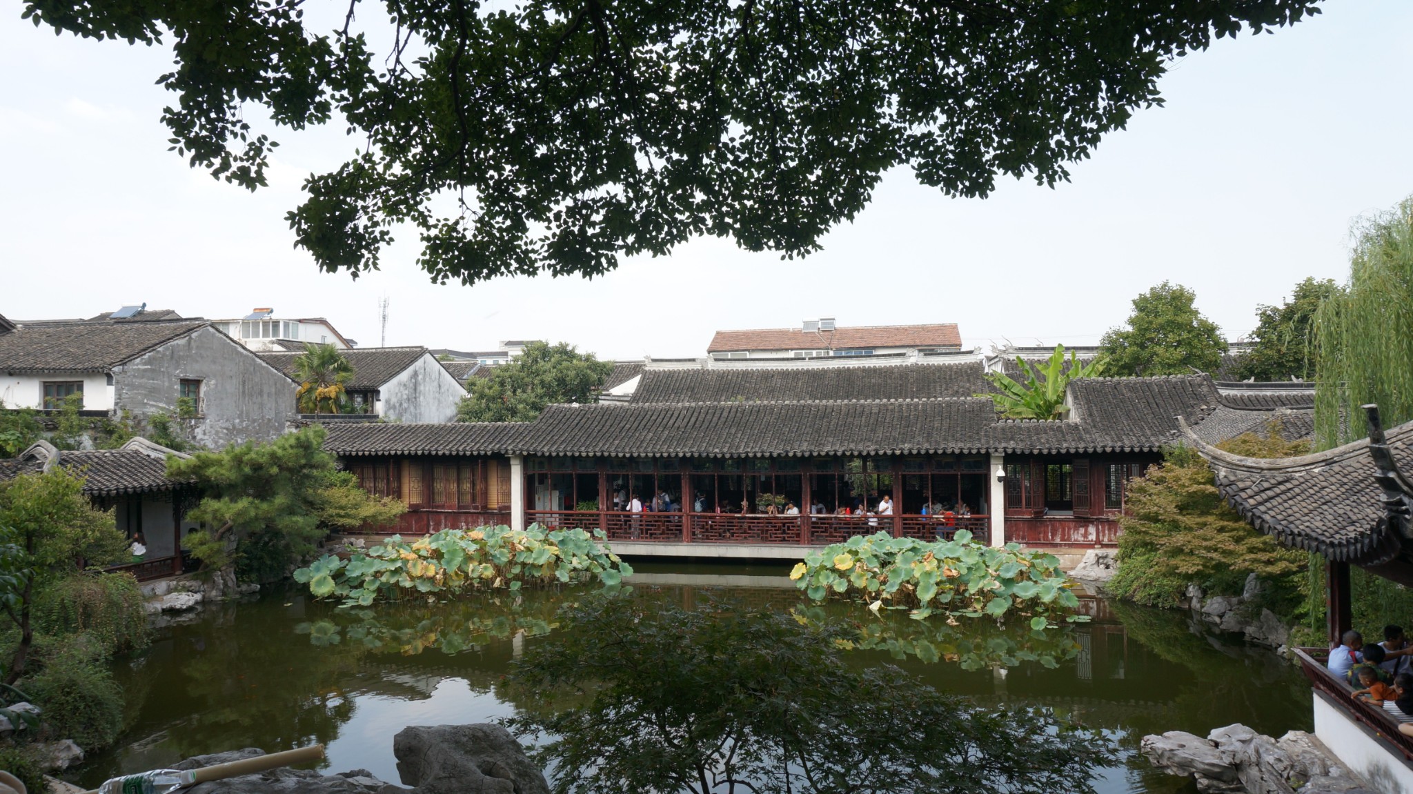 再下苏杭之四 隐于艺圃寻古沧浪亭可园夜游网师园