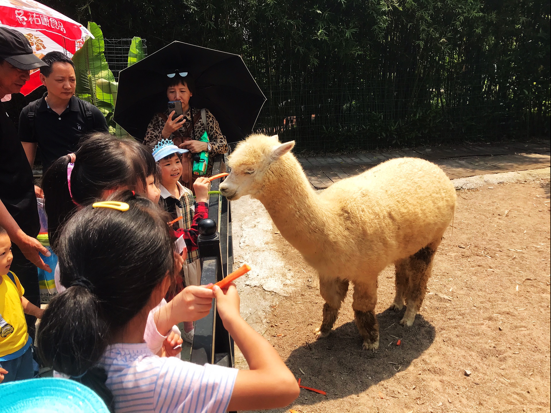 深耕金华游之义乌开心谷