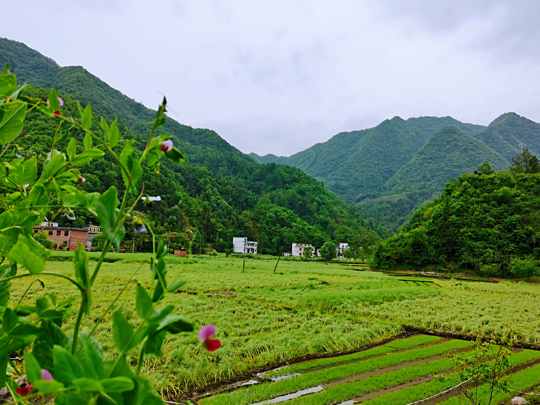 靈山秀水,詩畫旬陽