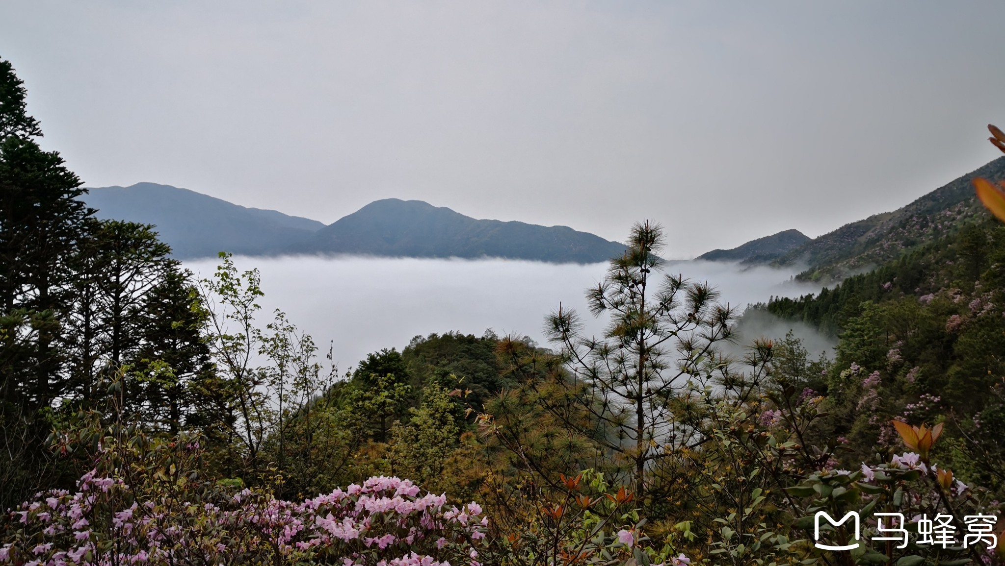 遂川旅遊圖片,遂川自助遊圖片,遂川旅遊景點照片 - 馬蜂窩圖庫 - 馬