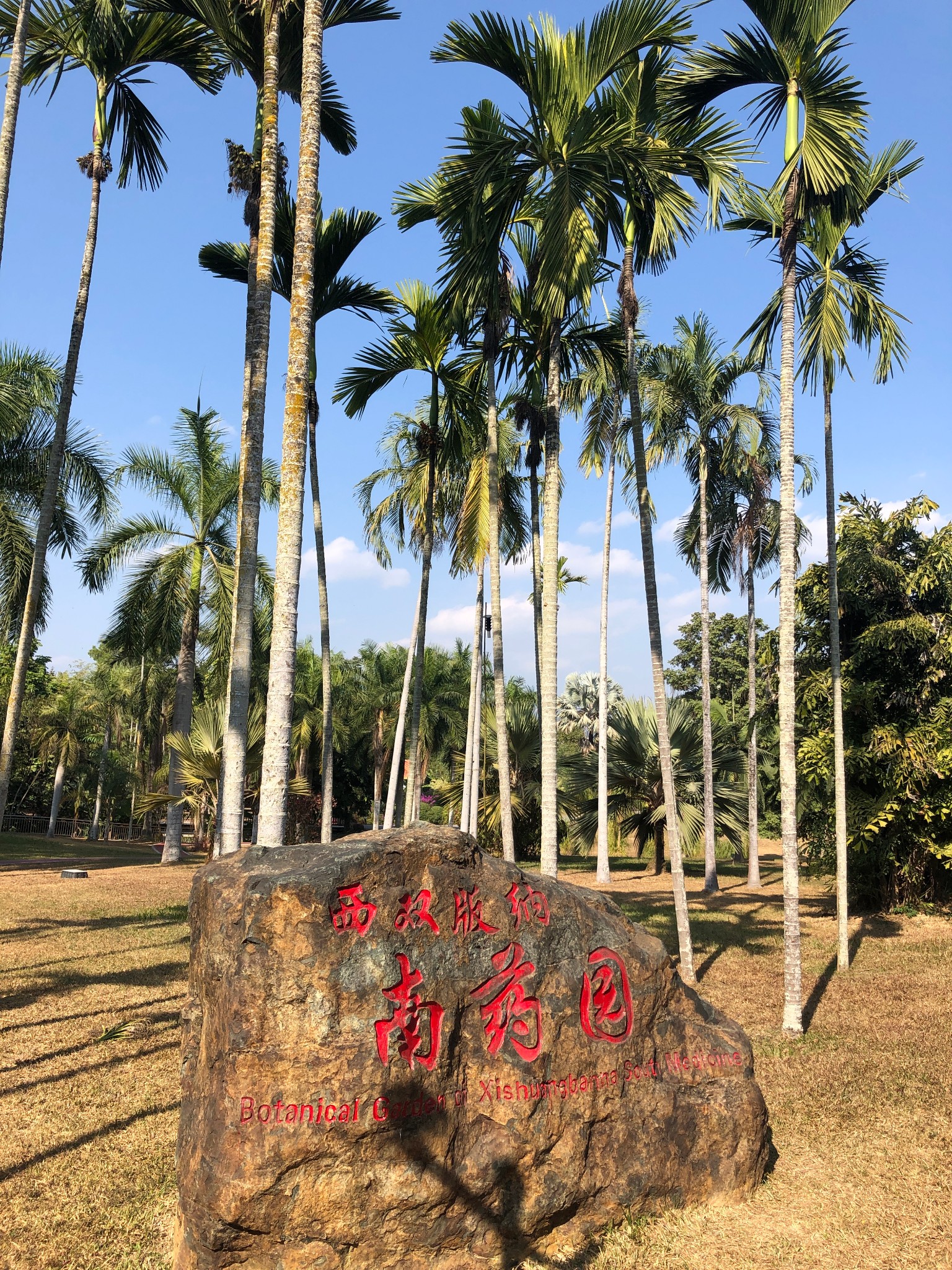 七彩云南游--昆明--西双版纳(下)