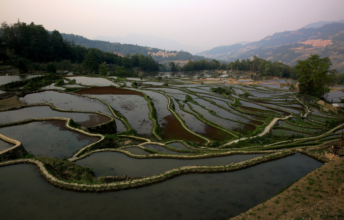 元陽哈尼梯田(一),元陽旅遊攻略 - 馬蜂窩