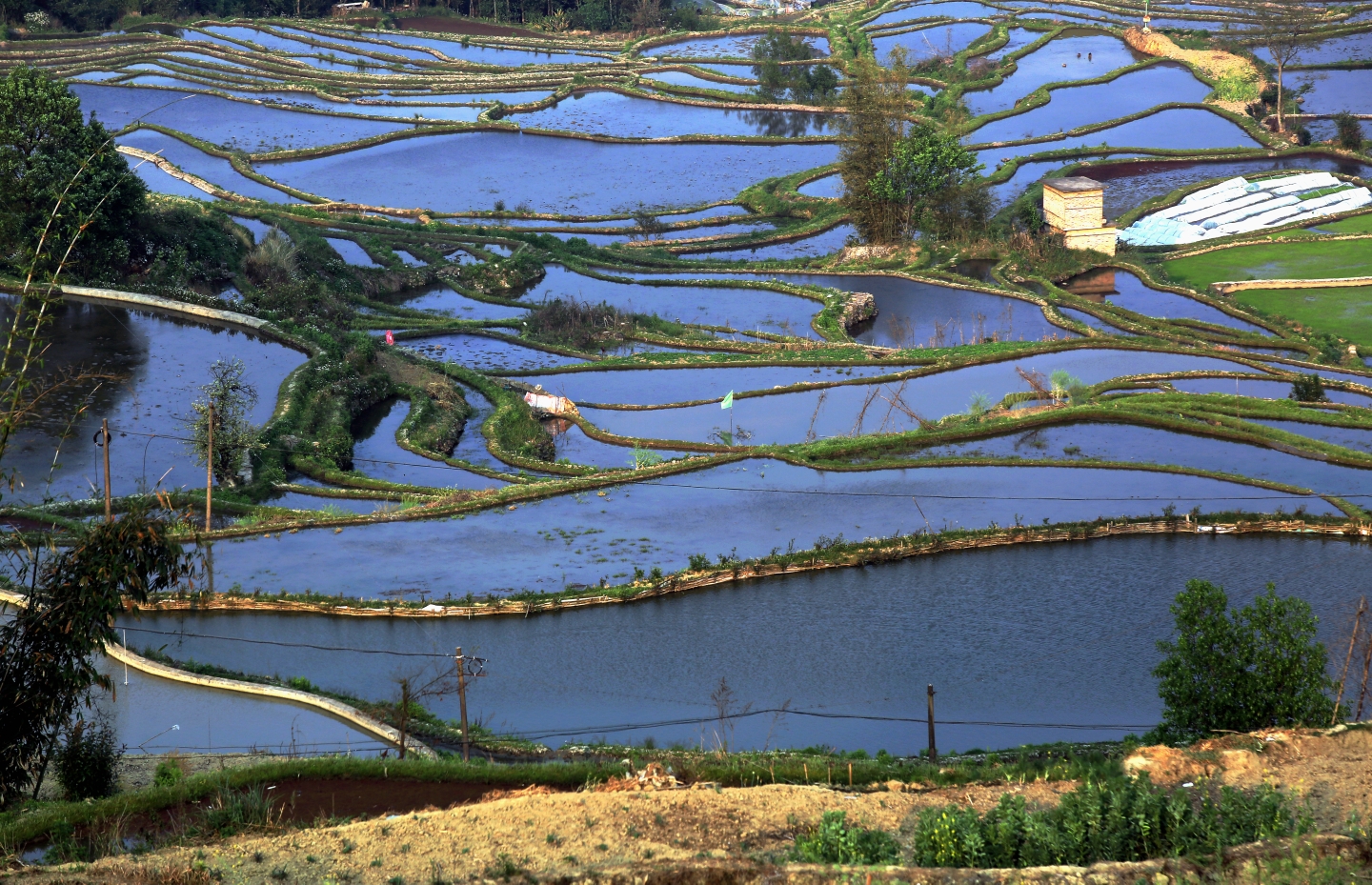 元阳哈尼梯田(一)