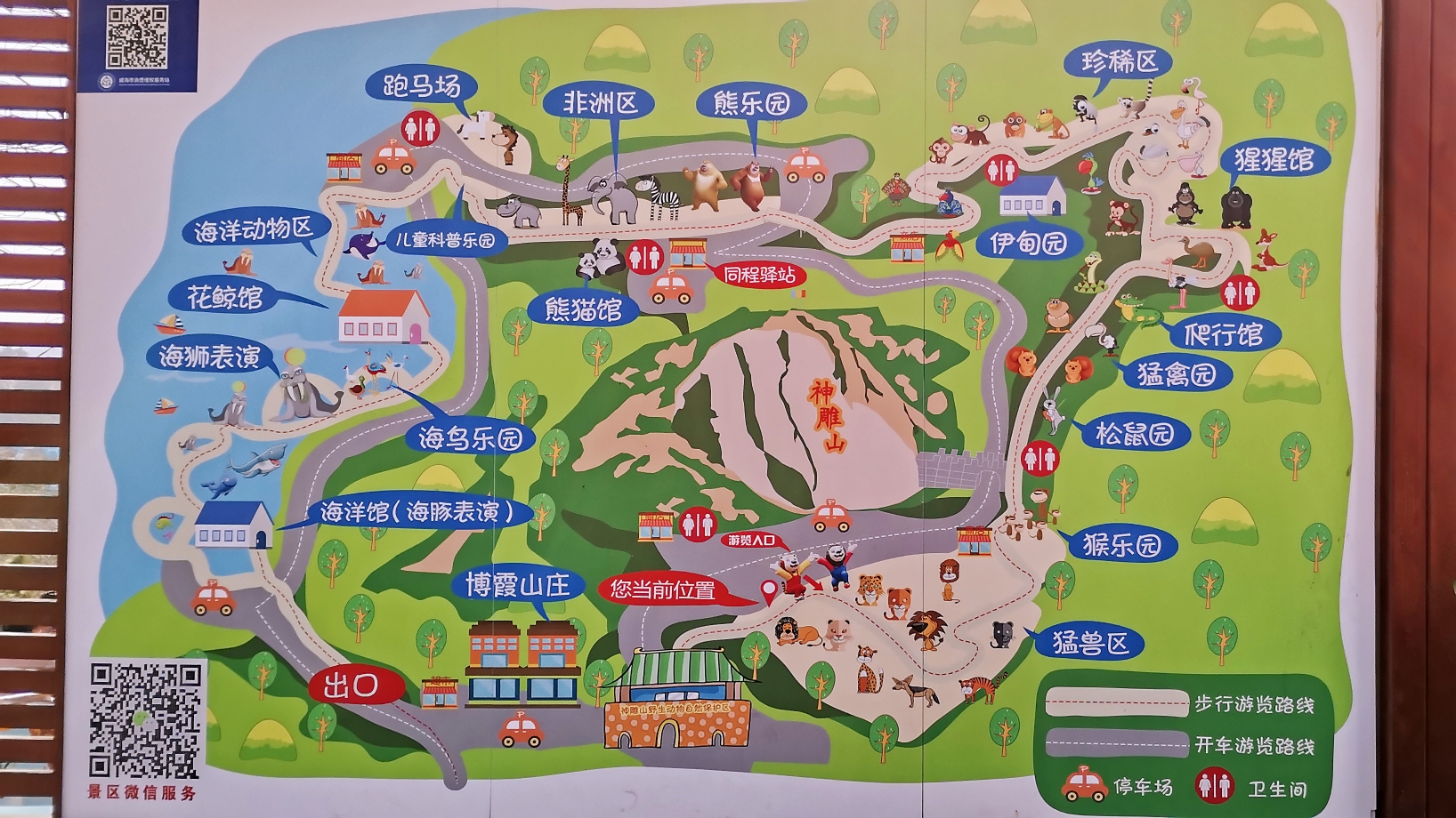 疫情之后的第一次"出游"——神雕山野生动物自然保护区,威海旅游攻略