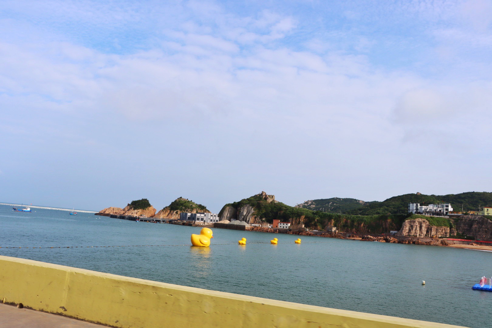 宝藏小岛:嵊泗列岛之枸杞