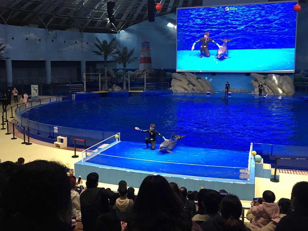 阜阳尧泰汉海海洋公园门票(集海洋生物展示 海洋动物表演 海洋科普