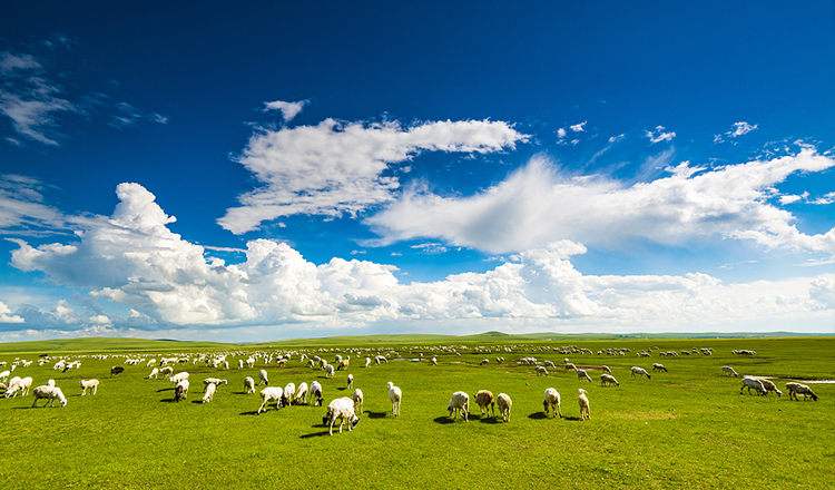 超值预售内蒙古呼伦贝尔大草原霸道穿越5天4晚5日游海拉尔室韦黑山头