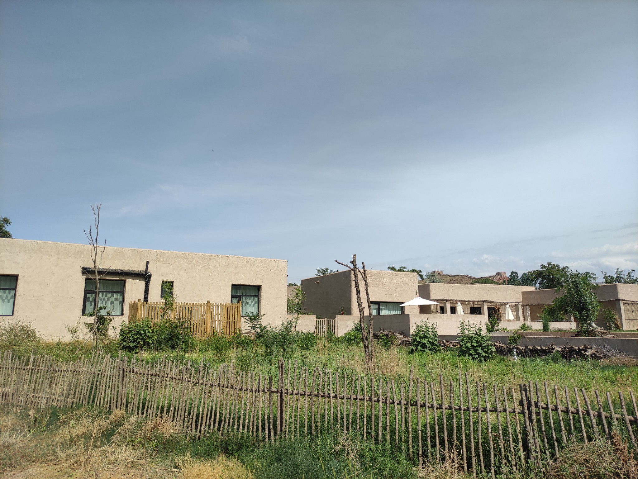 中卫沙坡头大湾村黄河宿集