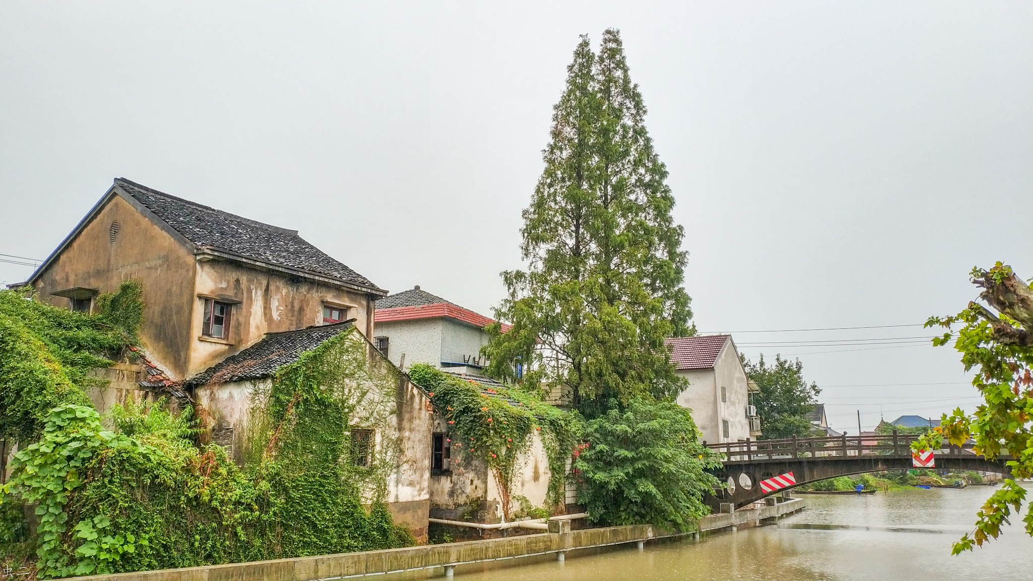 嘉兴大中桥 市保 古桥迷踪 (浙江嘉兴市南湖区鳯桥镇新篁社区镇西街)