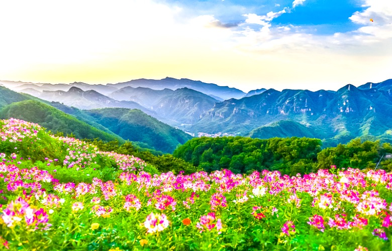 北京出发 河北绿溪谷 南天丽景一日游 网红打卡绿溪南天 粉红沙滩