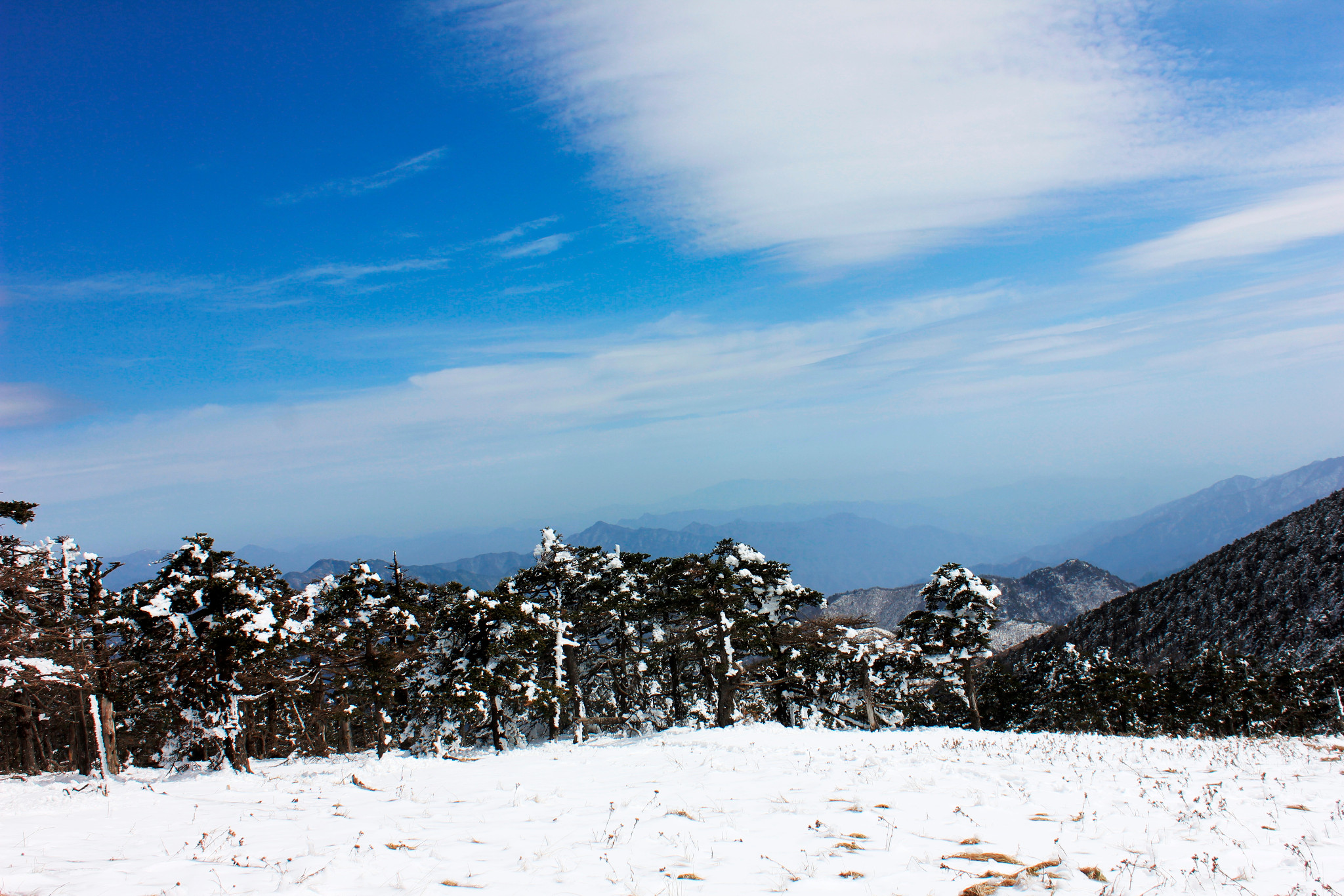 秦岭最美雪景之东梁三月天