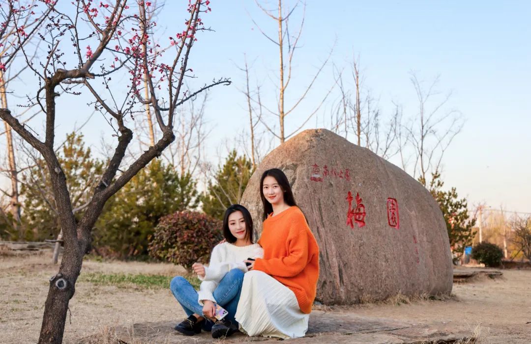 第三届南湖梅花节邀您共赏百亩花海!