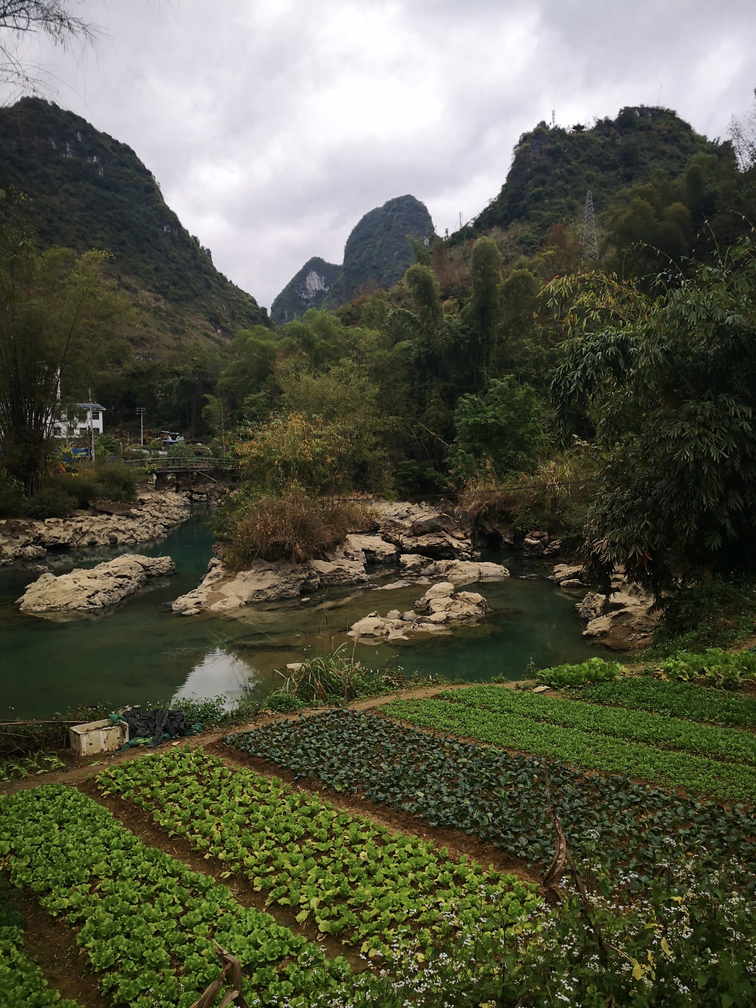 广西巴马坡月村图片