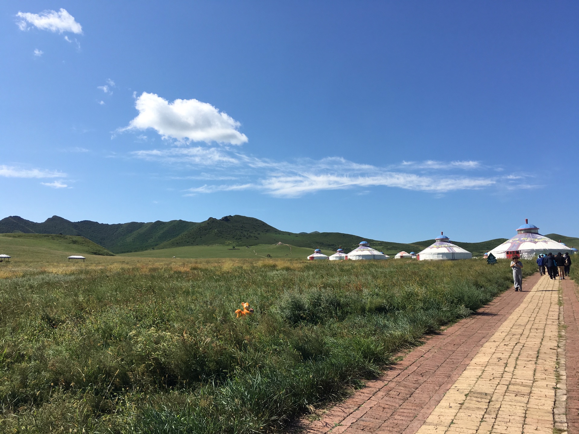 来到扎鲁特期山地草原旅游区,位于巴雅尔图胡硕镇境内.