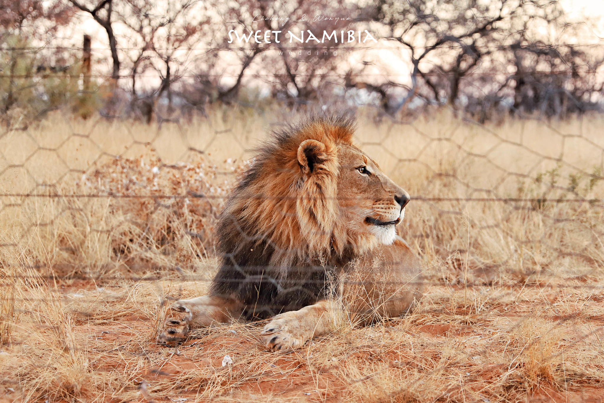 哈纳斯野生动物保护基地